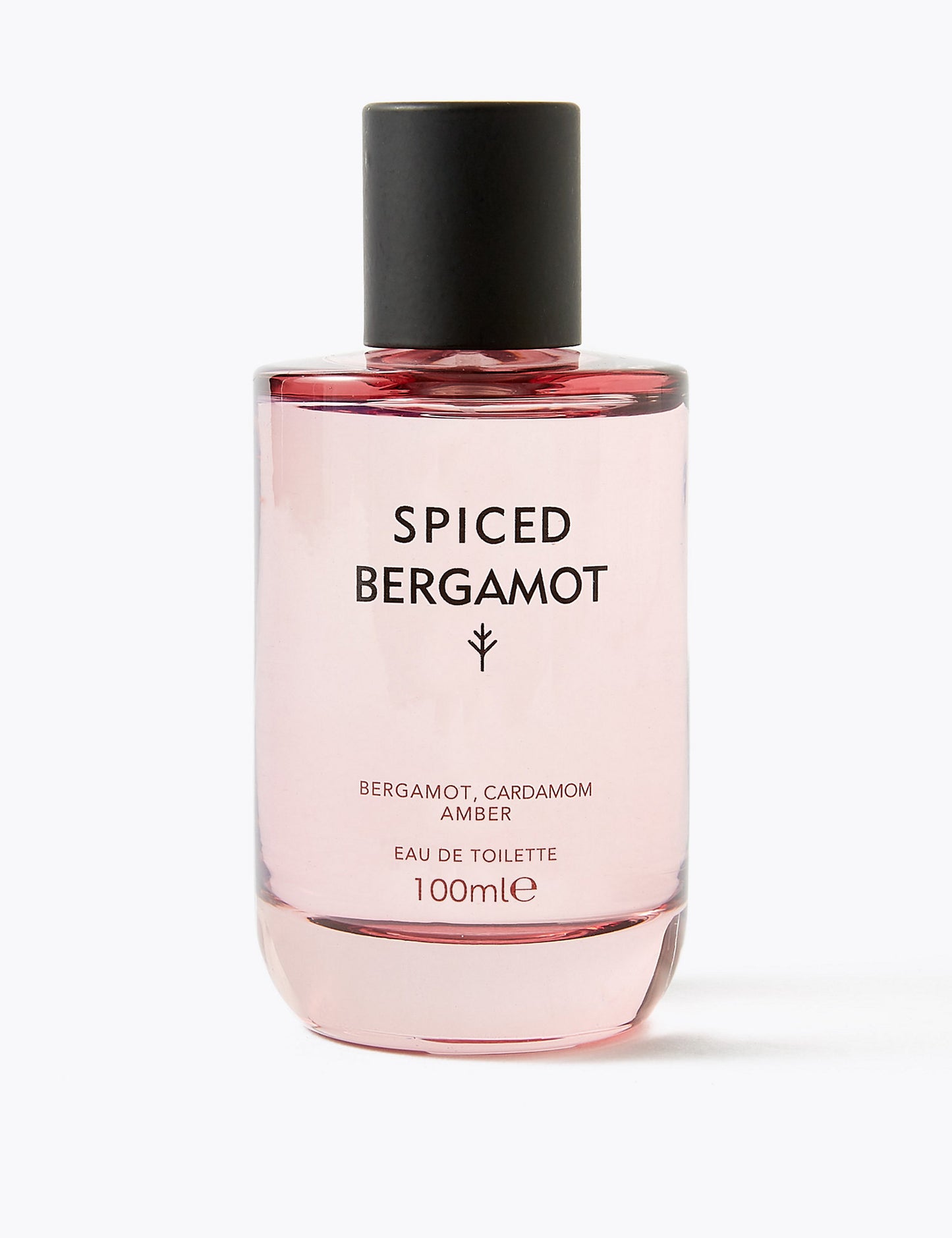Spiced Eau de Toilette 100ml